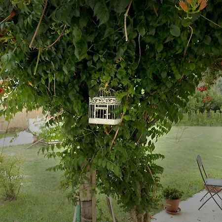 Bed & Breakfast I Due Noci Sarzana